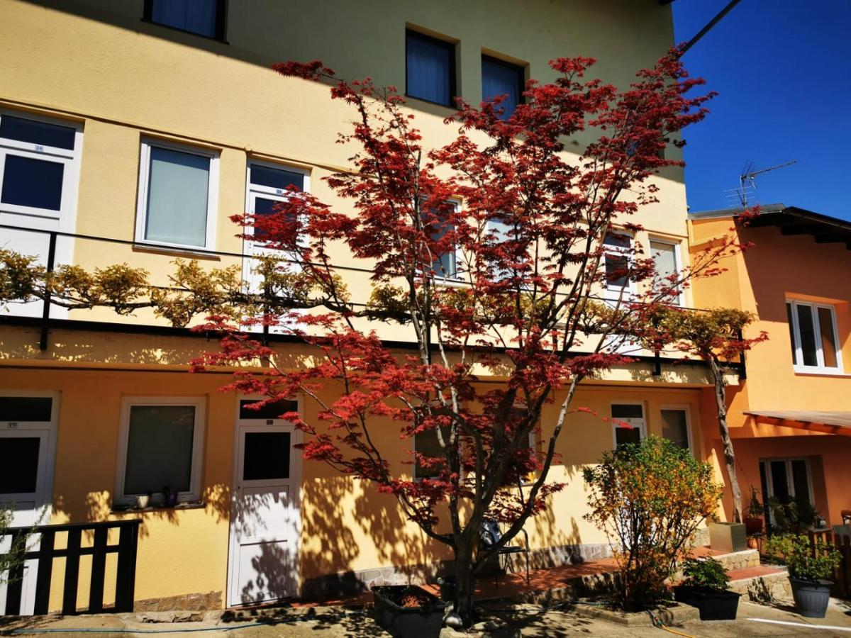 Hotel Goldene Krone Mistelbach Exteriér fotografie